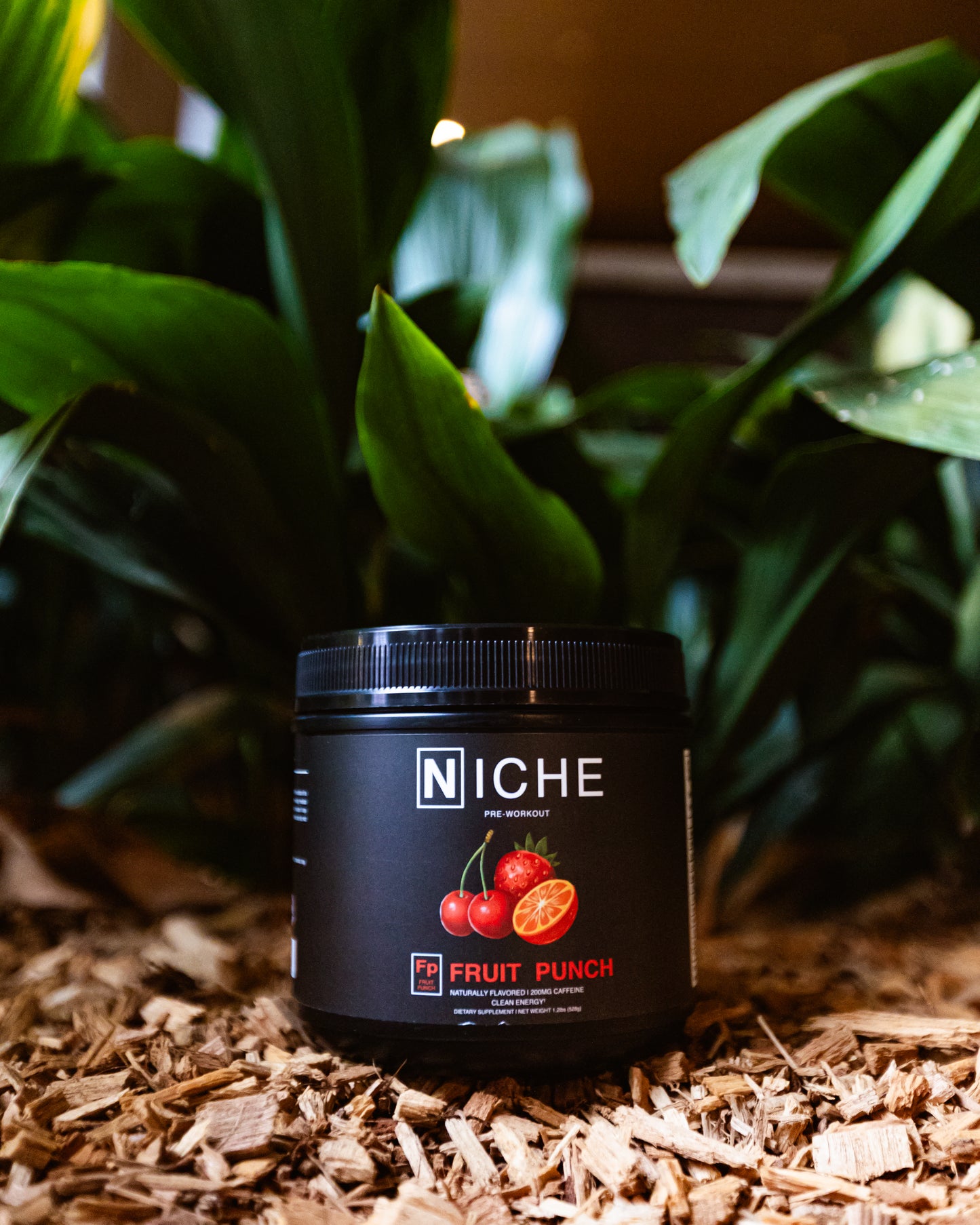 Fruit Punch Natural Pre-Workout