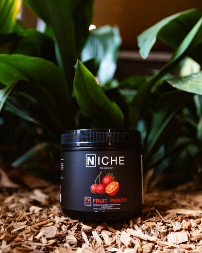 Fruit Punch Natural Pre-Workout